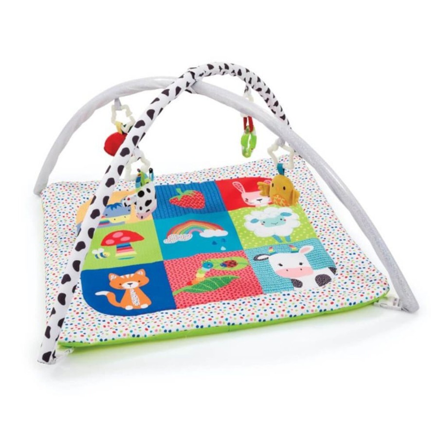 Toys Early Learning Centre | Blossom Farm Playmat And Arch